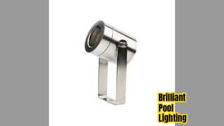 6W Stainless Steel LED Pool Light IP68