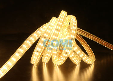 180 - 264V 2 Rows Type High Voltage LED Strip Light Flexible 2 Years Warranty