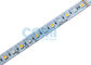 RGB + Warm White LED Color Changing Light Strips , Dimmable Led Strip Lights 24VDC