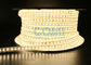 6W / M 2835 IP67 Constant Current High Voltage LED Strip Light with Power Supply
